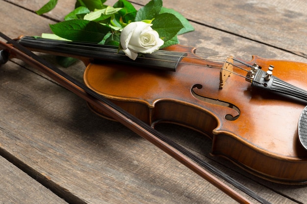 Beautiful violin