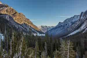 Free photo beautiful vista of high rocky and snowy mountains and hills with a forest