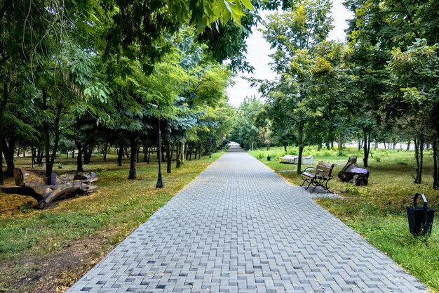 Beautiful walkway in a park with benches