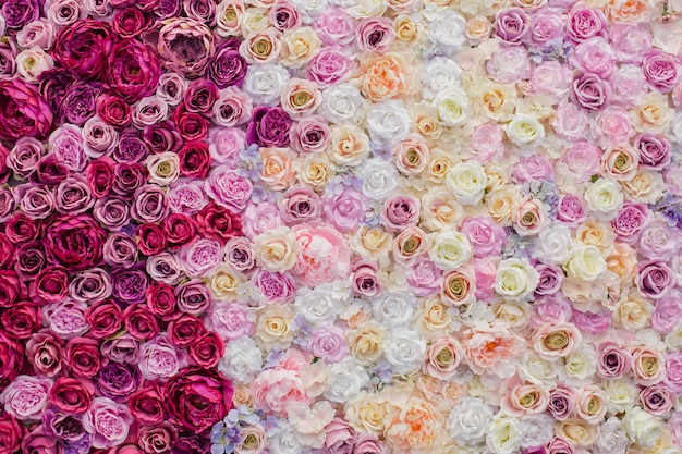 Бесплатное фото Красивая стена из розовых и красных роз