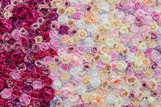 beautiful wall of pink and red roses