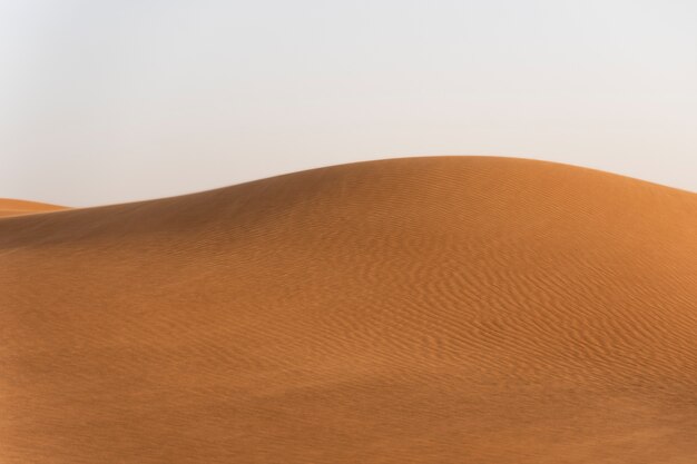 Bellissimo e caldo paesaggio desertico