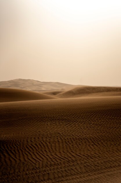 Beautiful and warm desert landscape