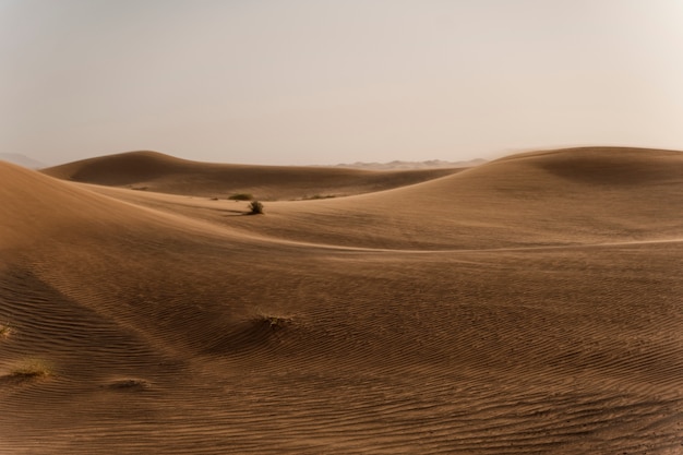 Free photo beautiful and warm desert landscape