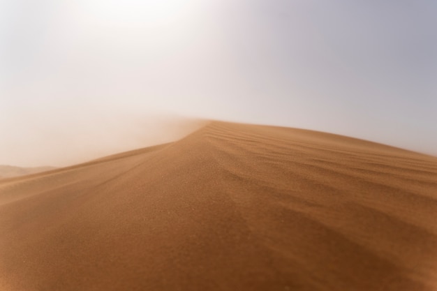 Free photo beautiful and warm desert landscape