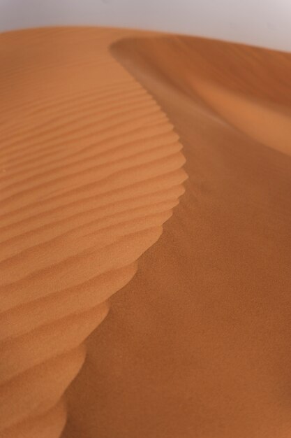 Beautiful and warm desert landscape