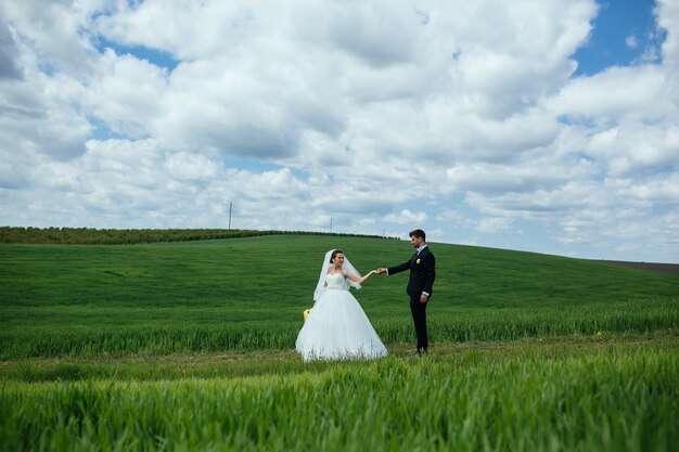 美しい結婚式のカップルが緑の野原を歩いています