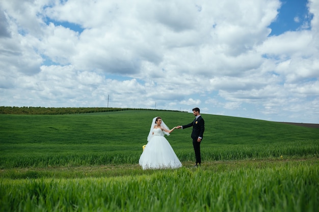 美しい結婚式のカップルが緑の野原を歩いています