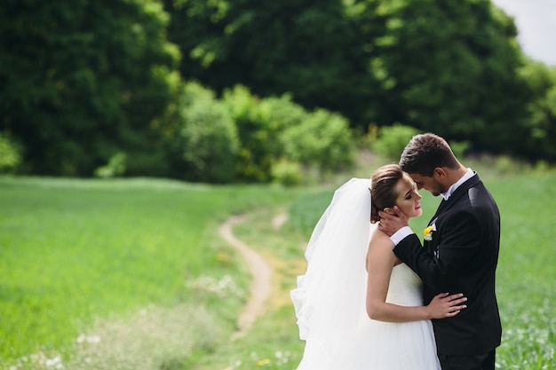 Beautiful wedding couple is walking on the green field