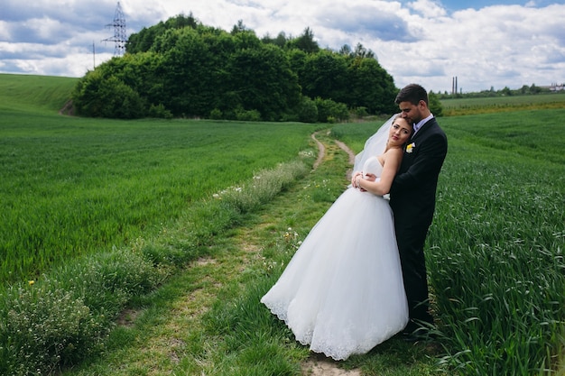 Beautiful wedding couple is walking on the green field