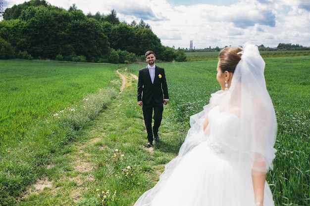 美しい結婚式のカップルが緑の野原を歩いています