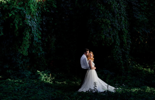 Beautiful wedding couple in love is standing surrounded with green ivy outdoors, hugging