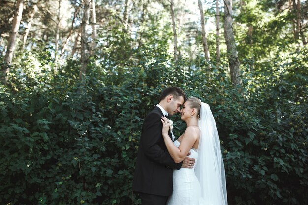 公園でポーズをとって美しい結婚式のカップル