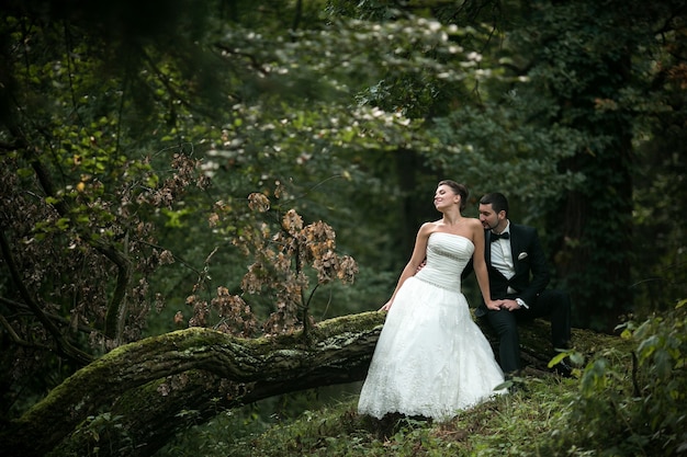 Beautiful wedding couple sitting in the woods on a fallen tree
