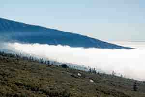 Free photo beautiful white clouds with mountains