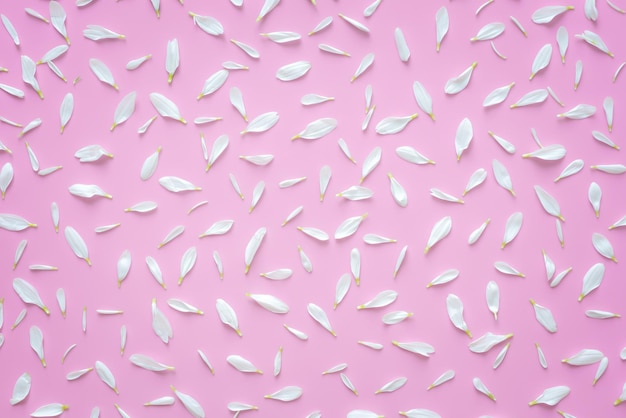 Бесплатное фото Лепесток красивых белых цветов на пастельно-розовом фоне