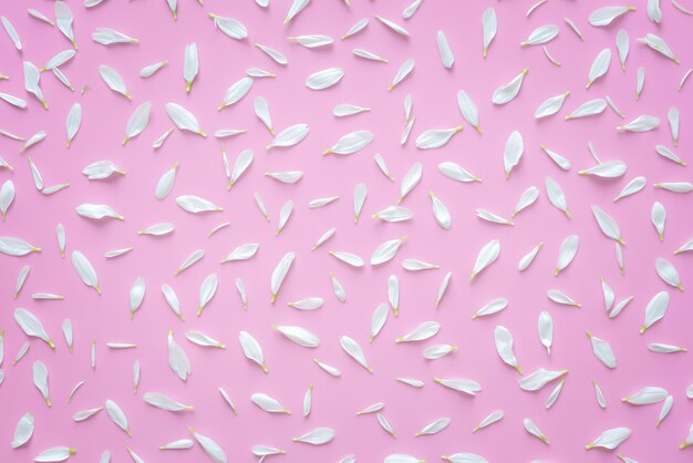 Лепесток красивых белых цветов на пастельно-розовом фоне