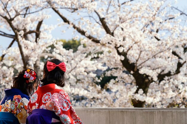 Beautiful white peach tree blossom