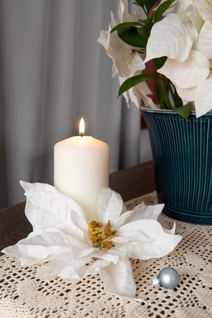 Beautiful white poinsettia assortement