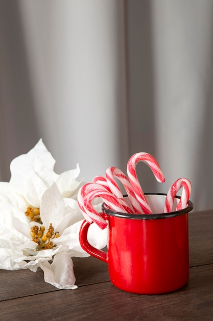 Beautiful white poinsettia assortement