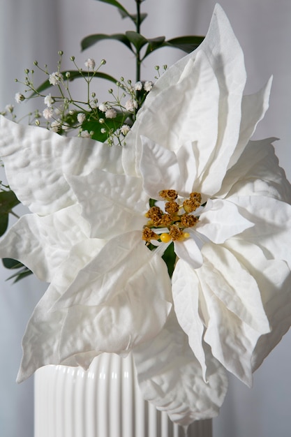 Foto gratuita bella composizione di poinsettia bianca