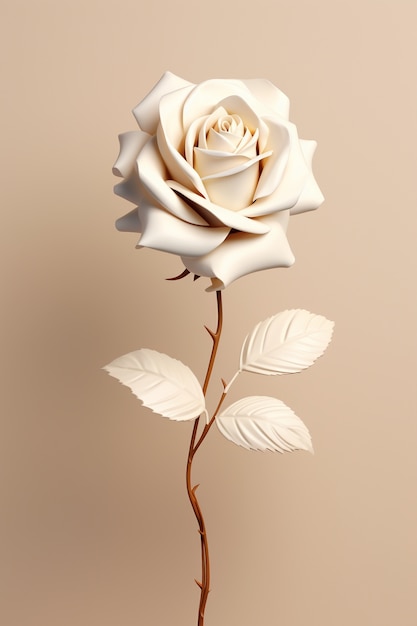 Free photo beautiful white rose  in studio