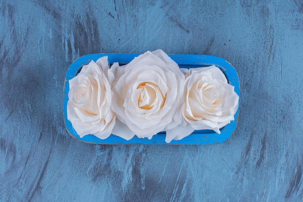 Free photo beautiful white roses on blue plate on blue.