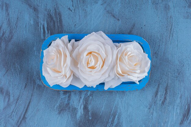 Beautiful white roses on blue plate on blue.