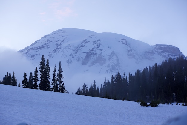 ワシントン州のマウントレーニア国立公園からの美しい白い冬の風景