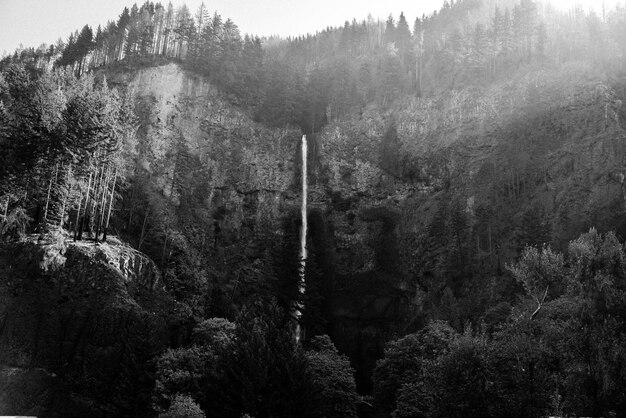 Beautiful wide long shot of a tall thin waterfall in the woods at Multnomah Falls, United States