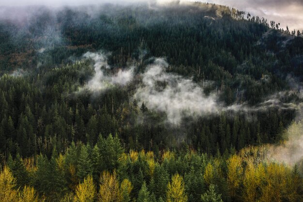 Красивый широкий снимок высоких скалистых гор и холмов, покрытых естественным туманом в зимнее время
