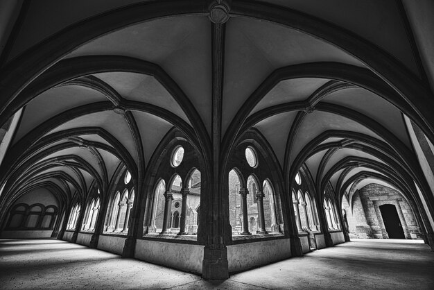 Beautiful wide shot of a medieval fantasy hallway in black and white