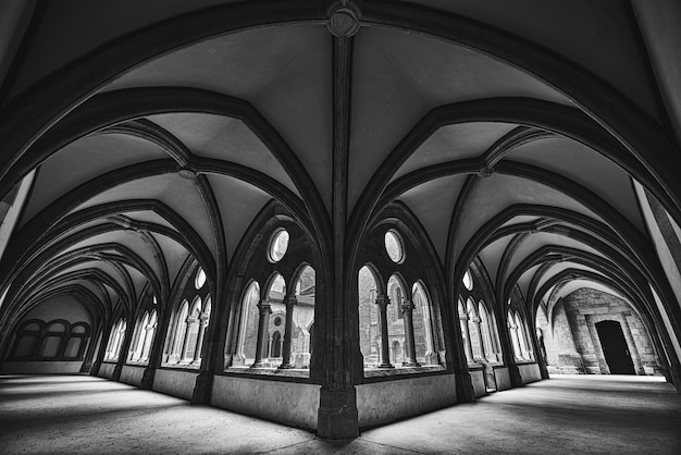 Beautiful wide shot of a medieval fantasy hallway in black and white