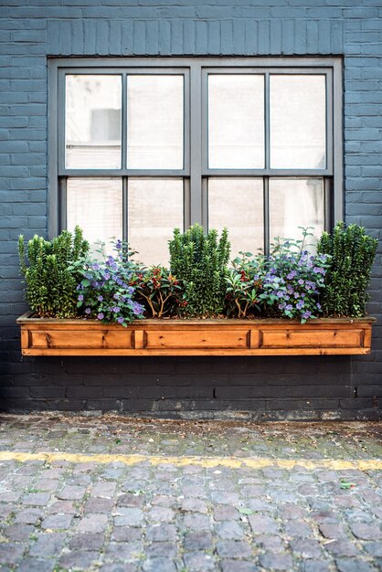 Beautiful windows with flowers on a black facade house