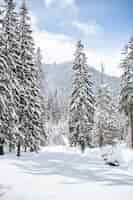 Free photo beautiful winter landscape with trees unde heavy snow. magical scenery