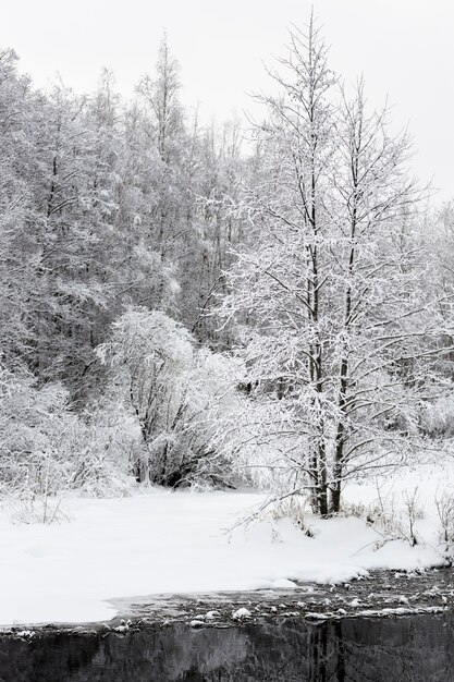 美しい冬の風景