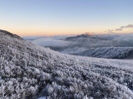 免费照片美丽的冬季视野的领域在波兰bieszczady