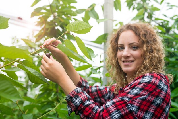 Beautiful woman farmer holding cherry fruit in green orchard