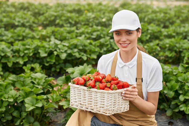 かごにおいしい赤いイチゴを保持している美しい女性