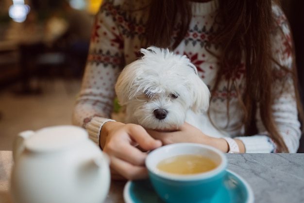 美しい女性は彼女のかわいい犬を抱いて、コーヒーを飲み、カフェで笑っている