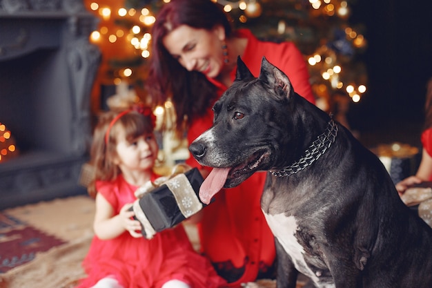 Beautiful woman in a red dress. Family at home. Mother with daughter. People with a dog.