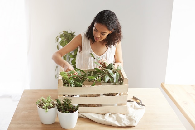 Beautiful woman smiling taking care of plants in box at workplace