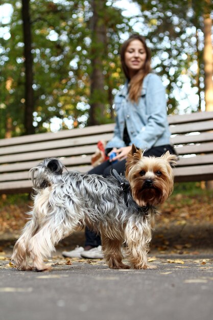 Beautiful woman with her cute dog