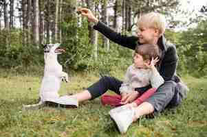 Free photo beautiful woman and young boy playing with dog