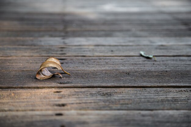 beautiful wooden background with the leaf