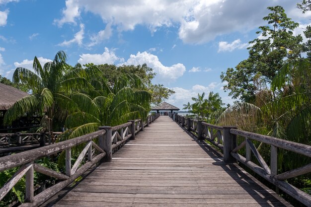 Beautiful wooden bridge among the tropical palm trees under a cloudy sky in Brazil