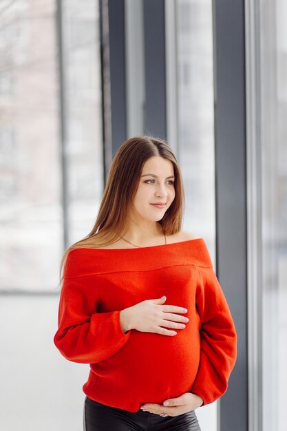 Beautiful young pregnant woman posing in studio in dress