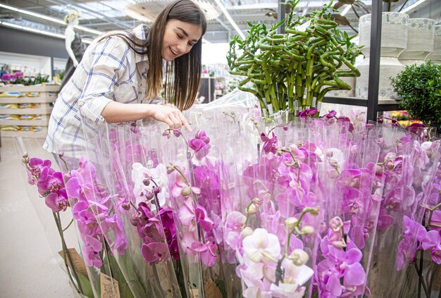 Free photo beautiful young woman in a flower shop and choosing flowers. the concept of gardening and flowers .