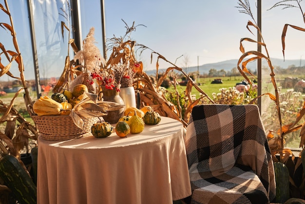 Красиво украшенный обеденный стол с тыквой и источниками вибурнума во время осеннего сезона