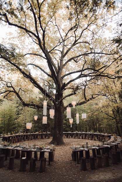 Красиво оформленная свадебная церемония в лесу